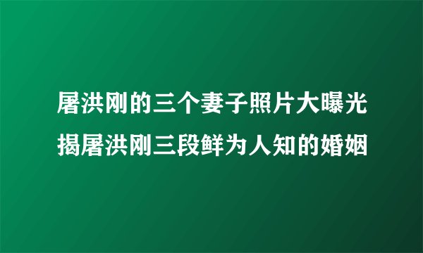 屠洪刚的三个妻子照片大曝光揭屠洪刚三段鲜为人知的婚姻