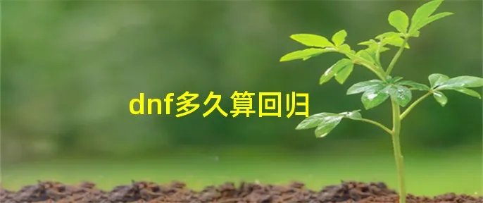 dnf多久算回归
