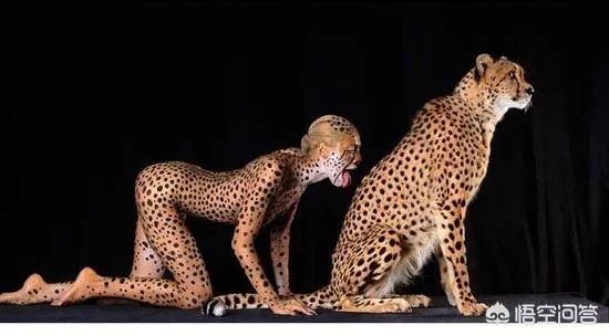 人和动物最大的相同点是什么？