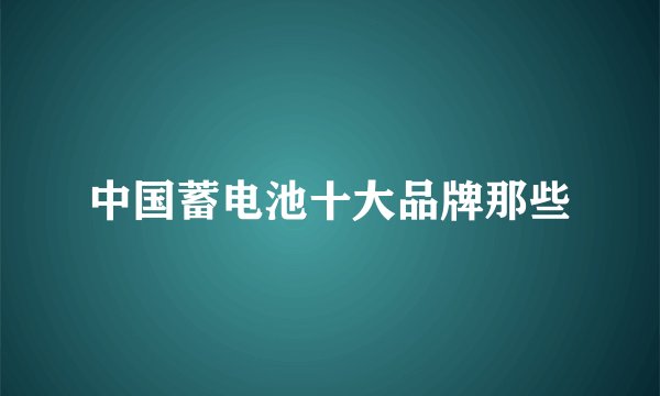 中国蓄电池十大品牌那些