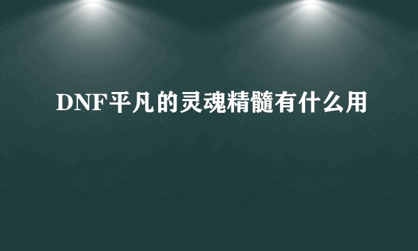 DNF平凡的灵魂精髓有什么用