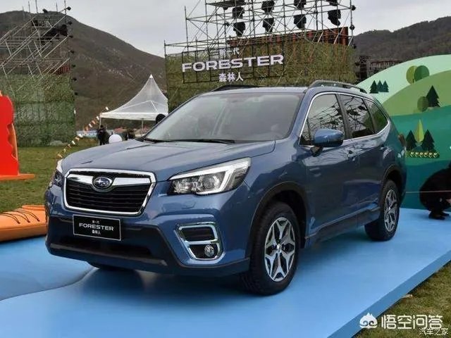 斯巴鲁森林人？