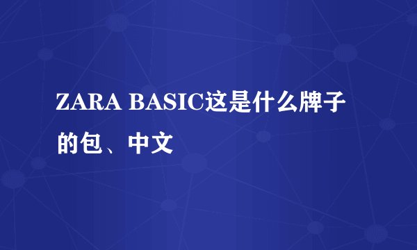 ZARA BASIC这是什么牌子的包、中文