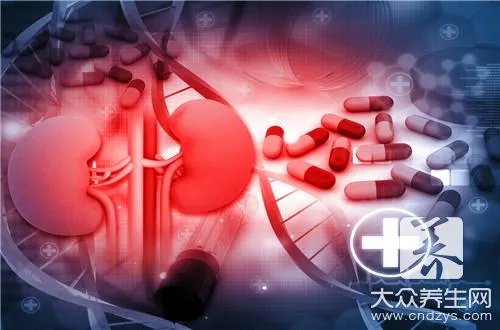 补肾鸡汤的做法有哪些