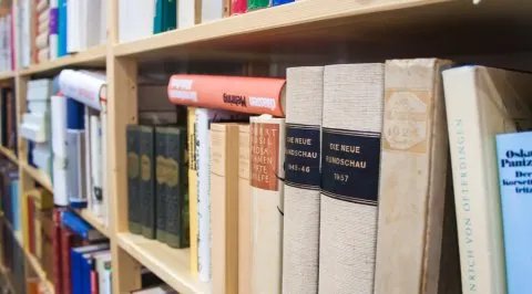 共同犯罪的构成要件包括哪些