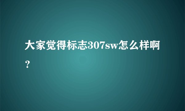 大家觉得标志307sw怎么样啊？