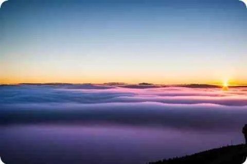 无望的爱情是什么意思