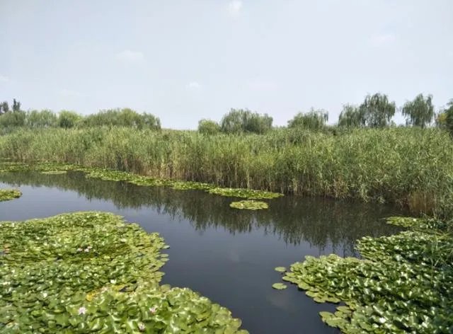 郑州两名13岁男孩儿水库溺亡，你有什么看法？