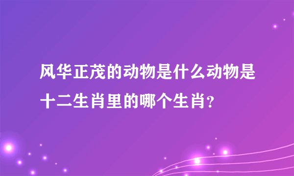 风华正茂的动物是什么动物是十二生肖里的哪个生肖？