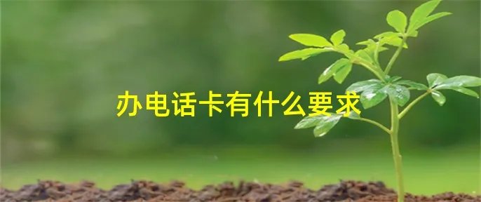 办电话卡有什么要求