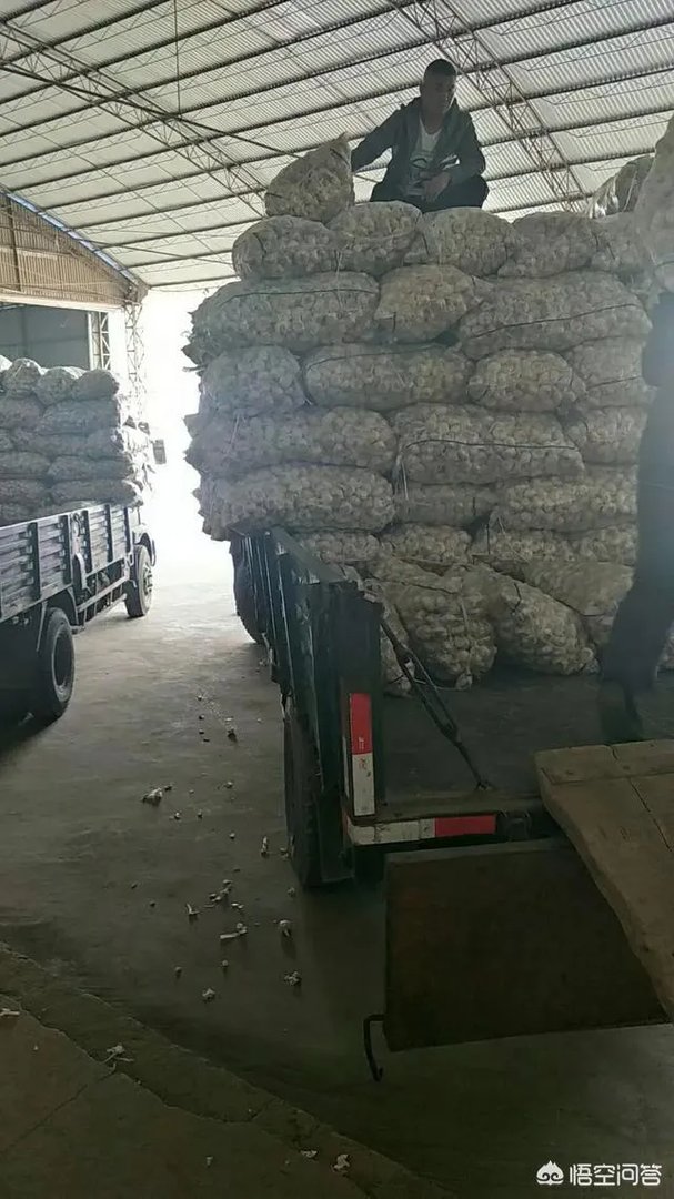 2018年的大蒜到底是会涨价还是会掉价？