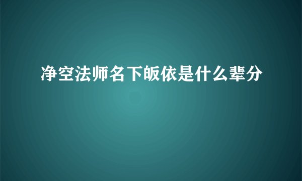 净空法师名下皈依是什么辈分