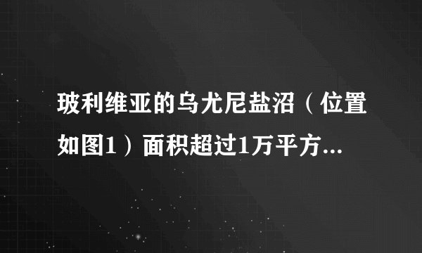 玻利维亚的乌尤尼盐沼（位置如图1）面积超过1万平方千米，是世界上面积最大的盐沼，被称为“天空之镜”。它的常态是由厚达数米盐壳覆盖着的巨大白色荒原，只有在短暂的雨季，才是名副其实的“天空之镜”。如图2为乌尤尼盐湖附近的年内各月降水量。据此完成3～4题。