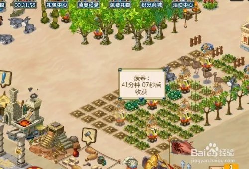 守卫农场怎么种菜