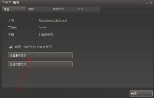 dota2国服启动代码是什么?