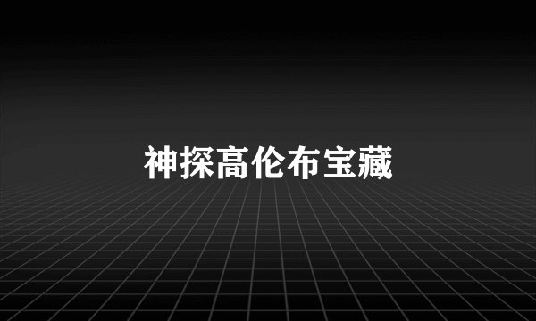 神探高伦布宝藏