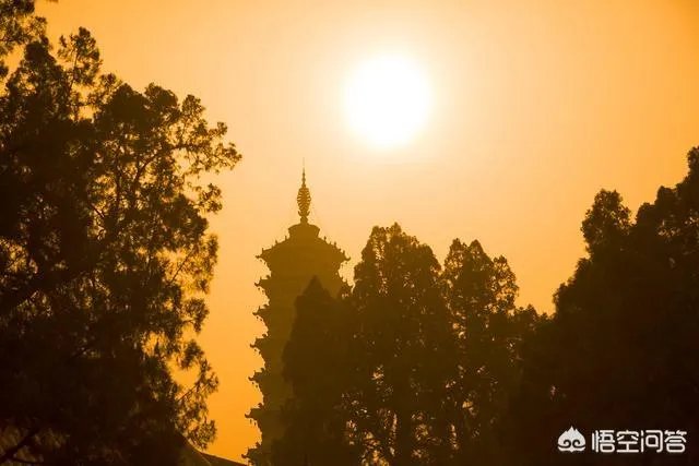 赵县柏林禅寺好玩吗？