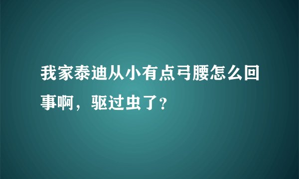 我家泰迪从小有点弓腰怎么回事啊，驱过虫了？
