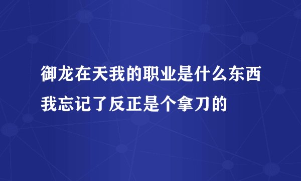 御龙在天我的职业是什么东西我忘记了反正是个拿刀的