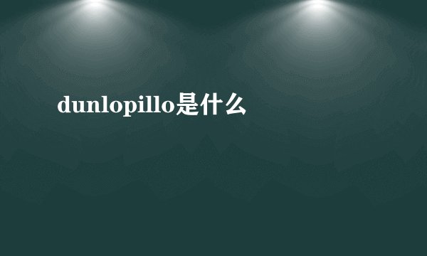 dunlopillo是什么