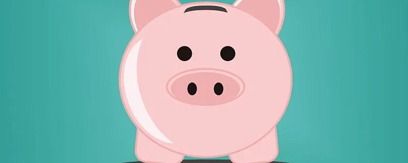 糊里糊涂打一生肖 哪些生肖做事情不靠谱