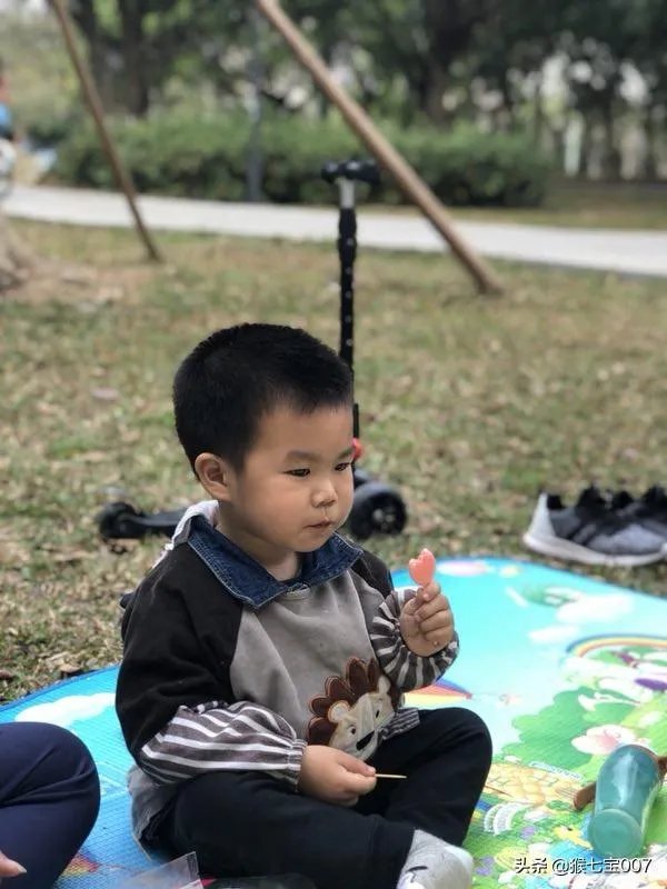 一日游去哪里好玩?