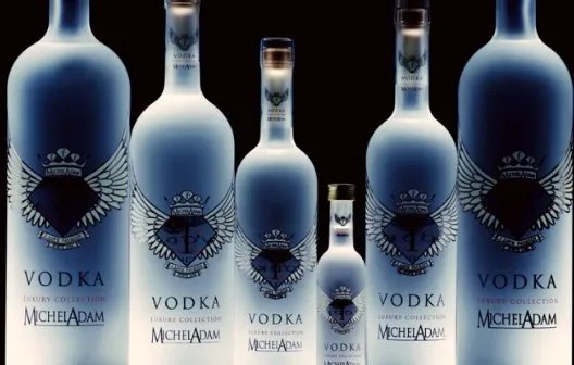 小鸟伏特加歌曲歌词