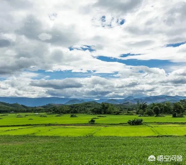 阳江给你的最大印象是什么?
