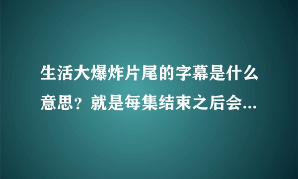 生活大爆炸片尾的字幕是什么意思？就是每集结束之后会出现很长的一段字。