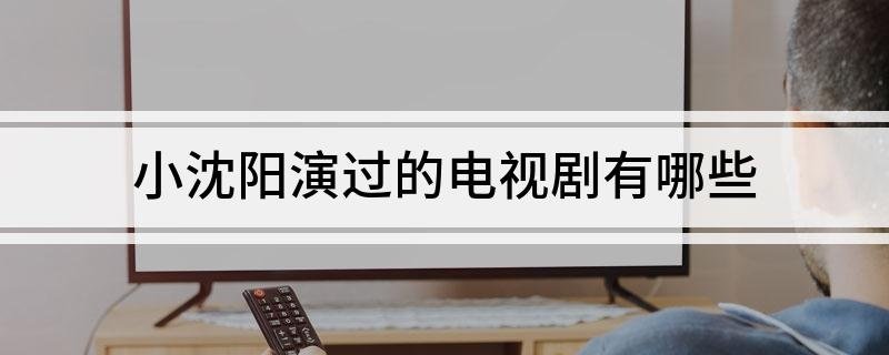 小沈阳演过的电视剧有哪些