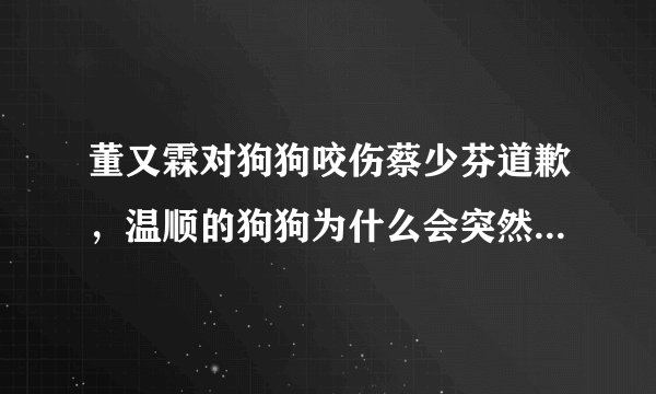 董又霖对狗狗咬伤蔡少芬道歉，温顺的狗狗为什么会突然咬人，发生了什么？