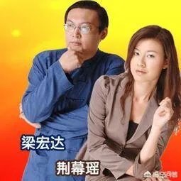 如何评价梁宏达？