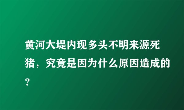黄河大堤内现多头不明来源死猪，究竟是因为什么原因造成的？