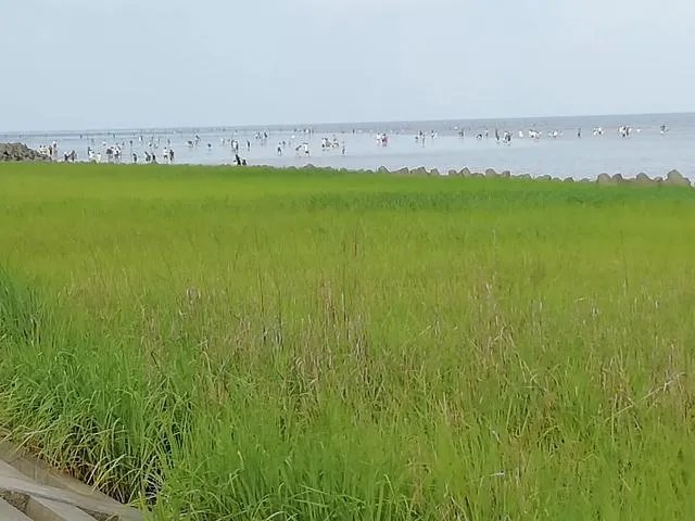 请问上海周边100公里左右自驾游有哪些景点推荐？