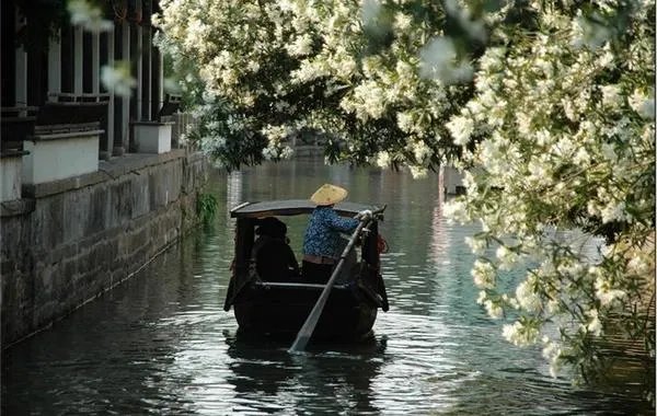 请问上海周边100公里左右自驾游有哪些景点推荐？