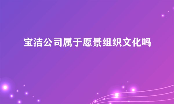 宝洁公司属于愿景组织文化吗