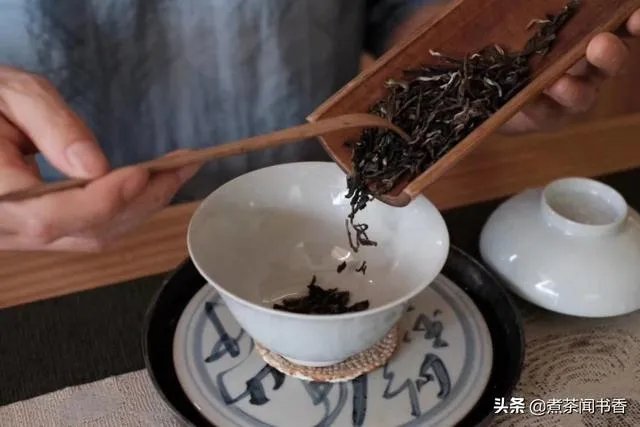 茶叶店熬一熬真的能好了吗?未来发展如何?