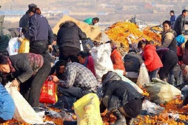 货车遇车祸7吨猪肉遭哄抢，这还要的回来吗？