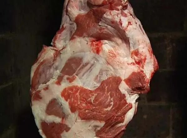 有人建议向美国学习，通过立法禁止国人吃狗肉，你支持或反对？