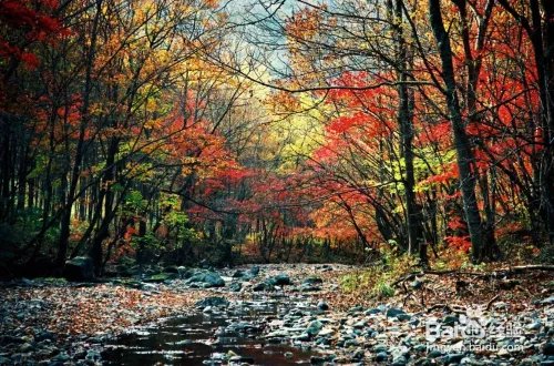 关门山旅游攻略