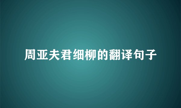 周亚夫君细柳的翻译句子