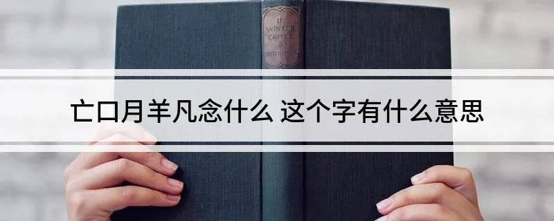 亡口月羊凡念什么 这个字有什么意思