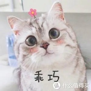 双十一京东攻略