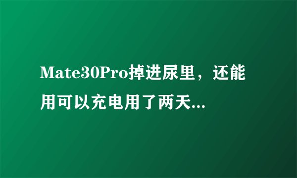 Mate30Pro掉进尿里，还能用可以充电用了两天正常。有危险吗？