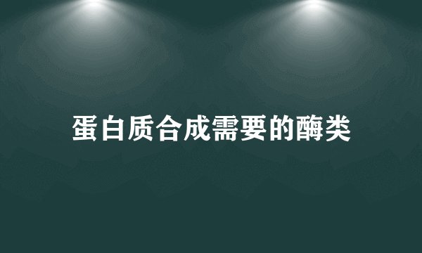 蛋白质合成需要的酶类