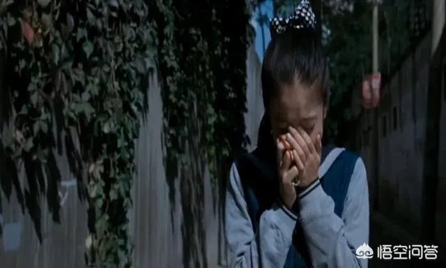 《狗十三》到底讲了什么？