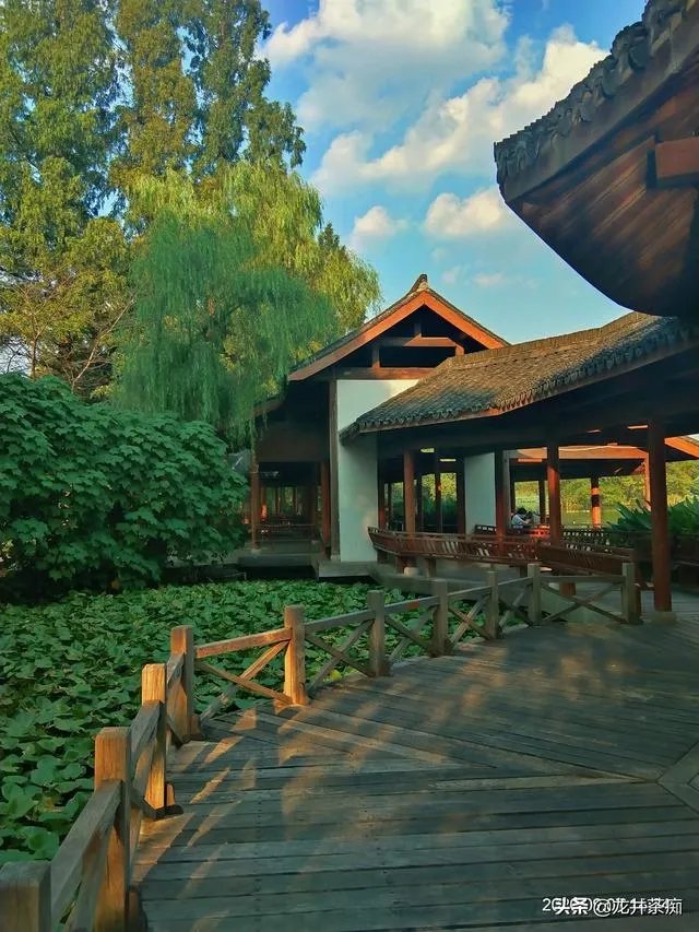 茶叶店熬一熬真的能好了吗?未来发展如何?