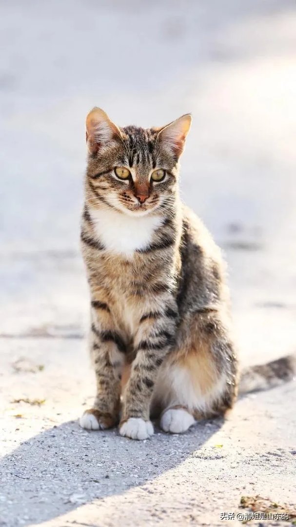 如果保姆打小孩,家长应该怎么办?