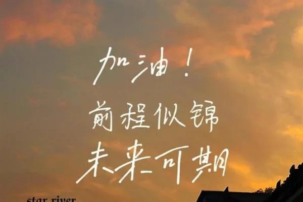 2015年高考分数线