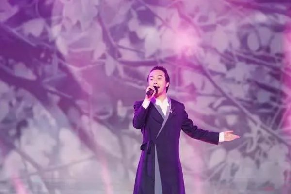 所有参加过央视《星光大道》的选手，目前谁最火？